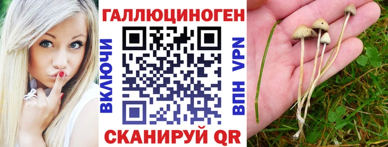 МЕГА   цены   Мещовск  Галлюциногенные грибы мухоморы 